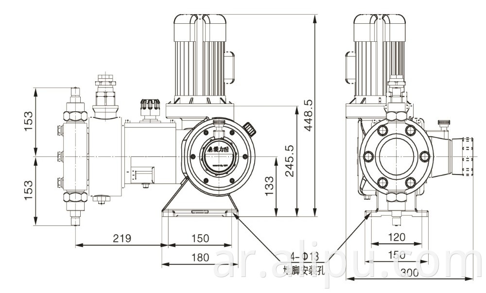 Chemical Hydraulic Diaphragm Metering Pump